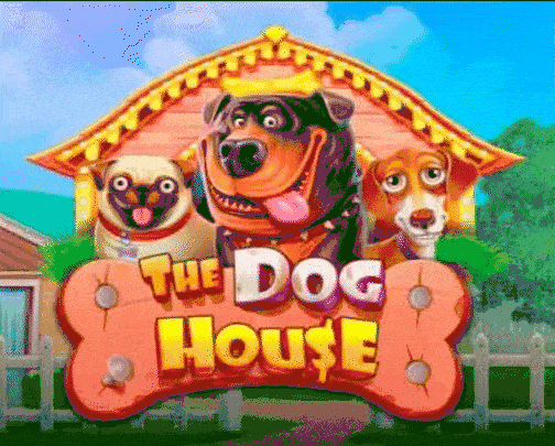 The Dog House im Millioner Casino spielen