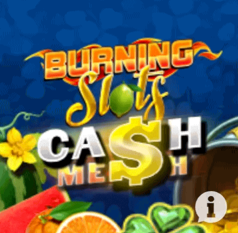 Burning Slots im Millioner Casino spielen